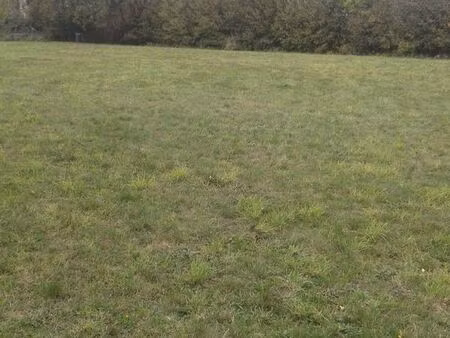 terrain industriel 2000 m2