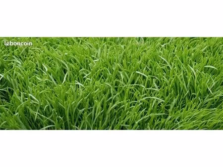 terrain constructible de 846m² à colpo centre