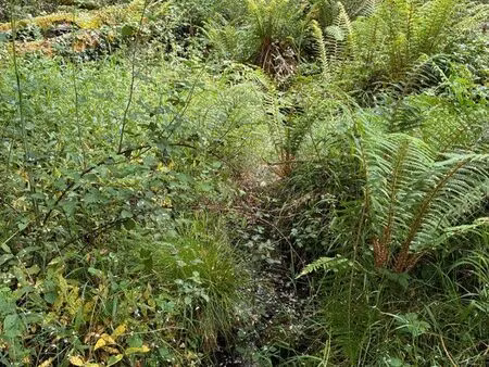terrain agricole