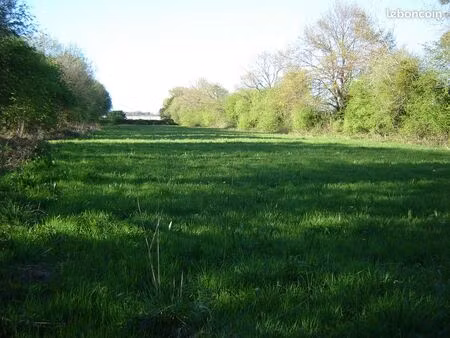 terrain 4650 m2 idéal loisir