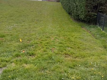 terrain 1200 m²