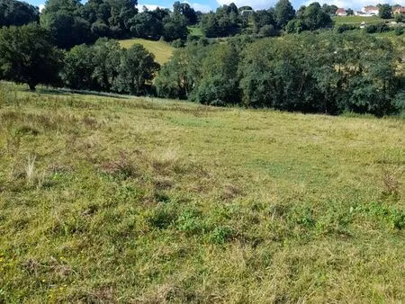 petite structure équestre sur plus de 2 hectares dans les pyrénnes atlantiques