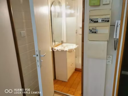 location appartement 1 pièce 20 m² à lyon 7 (69007)