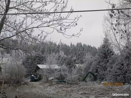 vente terrain a batir + bois