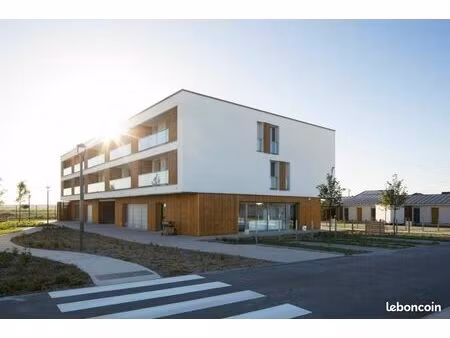 appartement 1 pièce 33 m²