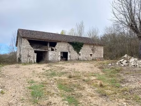 grange en pierre à rénover avec 1 hectare de terrain saint-paul-flaugnac