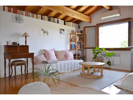 rare à saint-georges-d'espéranche : maison avec grande dépendance et terrain