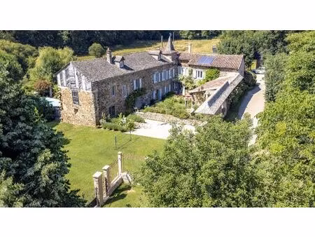 maison en pierres  300m2  au calme  commerces à pied/velo  2ha  30 min. d'albi