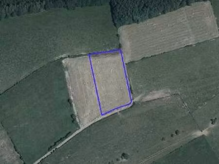 terrains agricoles situés à florenville (lot 3)