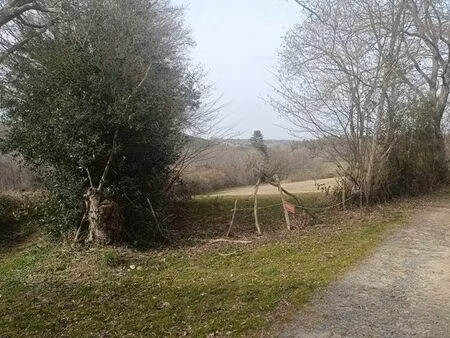 terrain agricole
