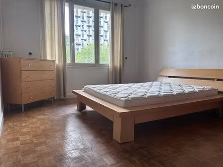 location appartement centre ville  île verte