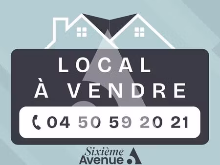 appartement 1 pièce 45 m²