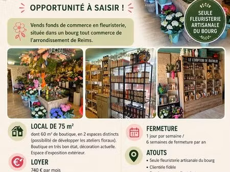 fond de commerce fleuriste proche reims