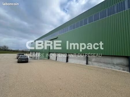 local d'activite 2500 m² épense