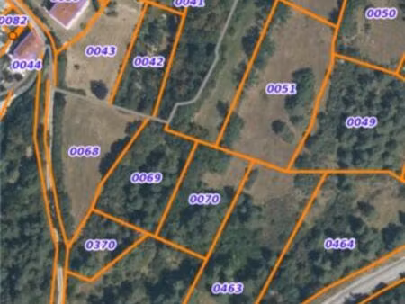 terrain boisé