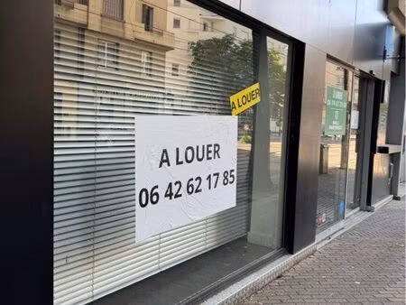 local commercial grenoble île verte