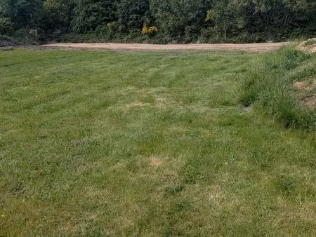 terrain constructible