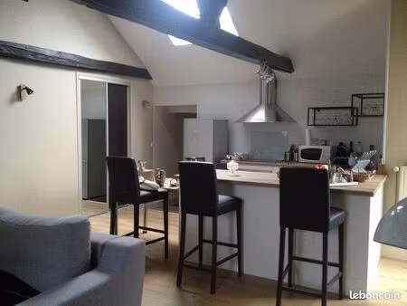 appartement t3 avec charme centre-ville