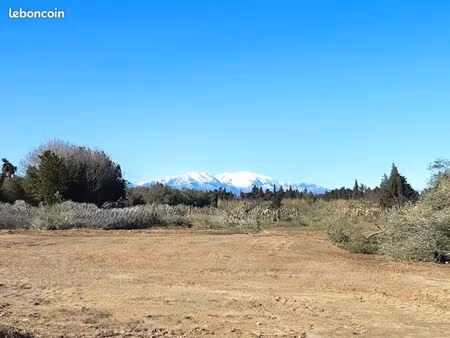 terrain 290 m² elne