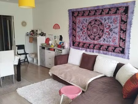 studio 1 pièce 36 m²