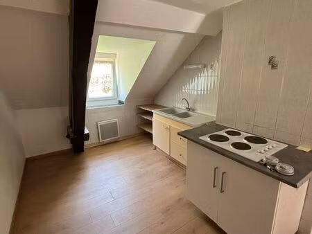 bel appartement traversant lumineux