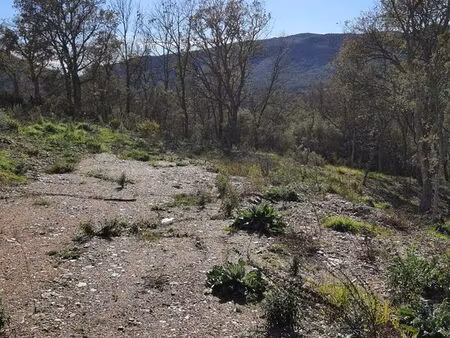 terrain 1150 m2 bagnols en foret
