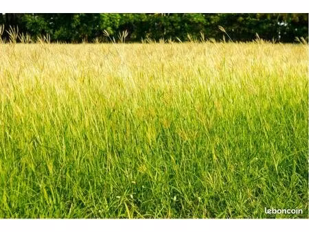 location terrain