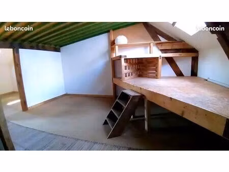 grand loft 110 m² - vue loire
