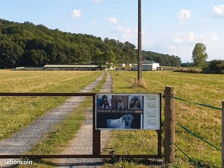 cède élevage canin cheptel lof  maison  prévu pour chevaux sur presque 12 hectares