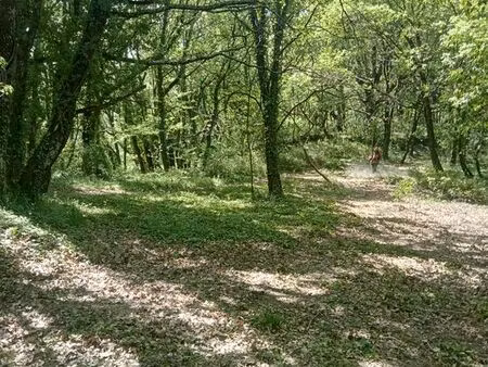 terrain en forêt