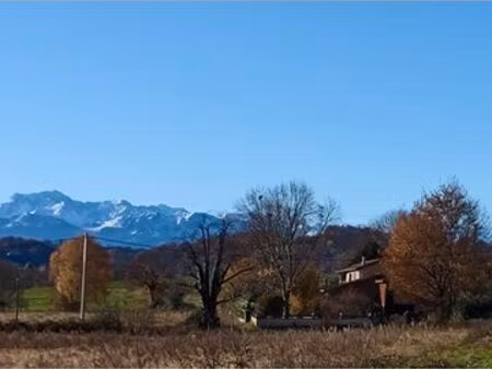 terrain avec cu  vue pyrénées