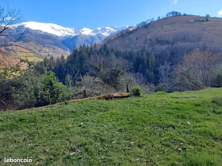terrain de montagne avec grange à reconstruire