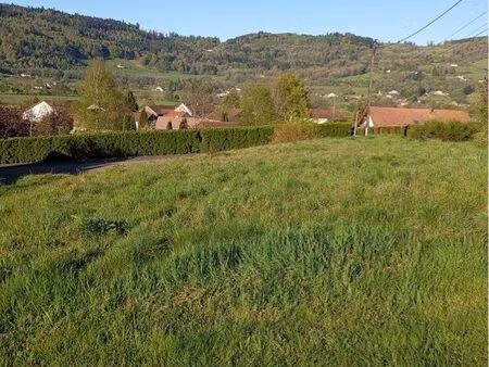 terrain 1000m2