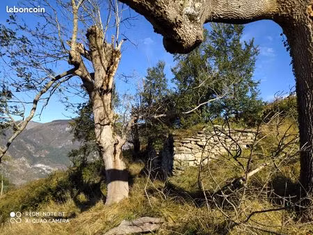 terrain agricole