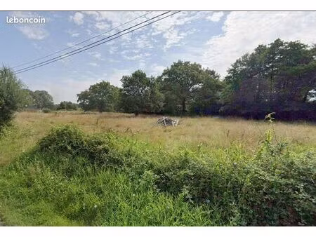 terrain de 5000 m² a louer