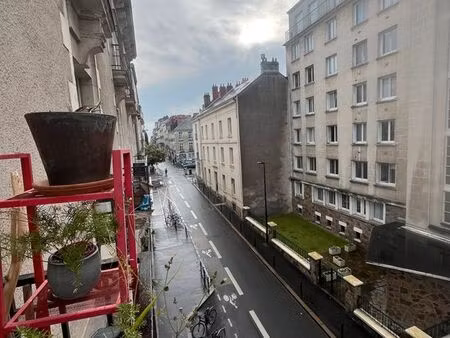t3 plein centre calme dobrée
