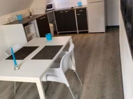 grand appartement 35m2 3 pièces calme