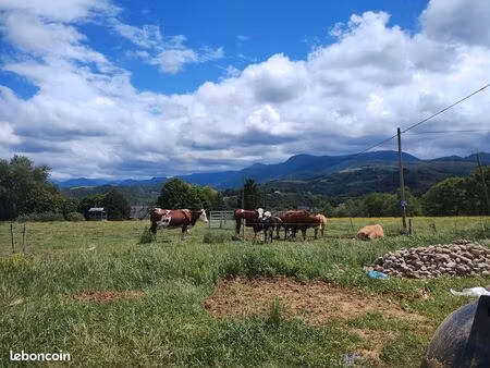 terrain exceptionnel avec vue panoramique sur les pyrénées