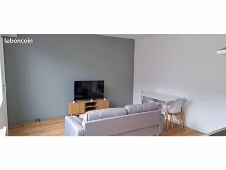 superbe t2 hypercentre meublé netflix inclus