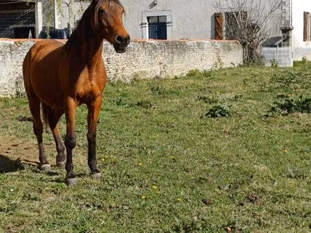 ? magnifique ferme rénovée de 180 m² – charme  confort & prestations haut de gamme ?