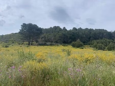 terrain agricole