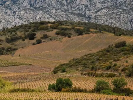 terrain de loisirs