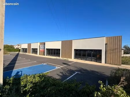 local professionnel