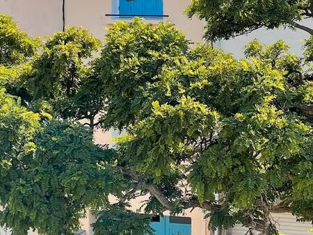 maison de village t3 – garage  cour et terrasses – estagel