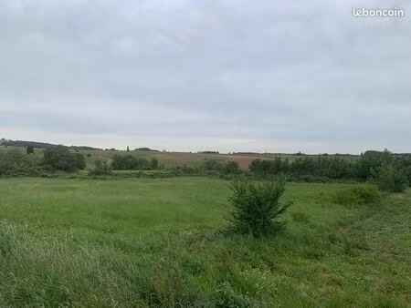 terrain agricole