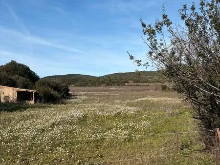 terrain agricole