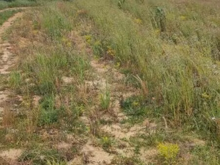 terrain agricole de 2ha25
