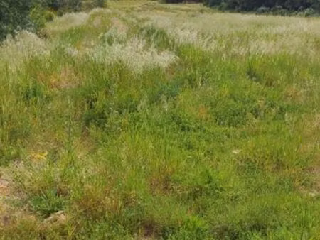 terrain agricole de 4 hectare