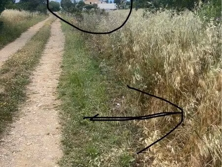terrain agricole