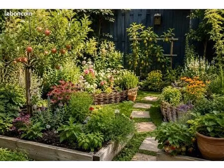 micro jardin